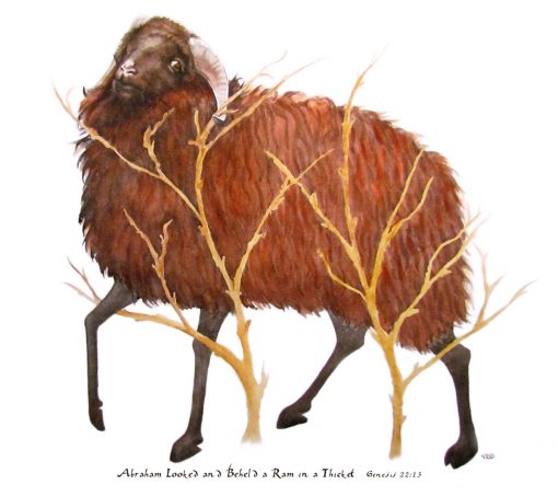 watercolor of ram in the thicket