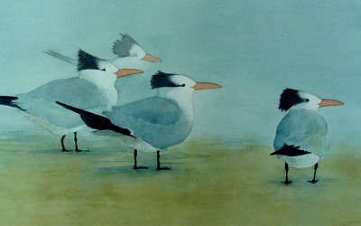 Terns In The Mist
