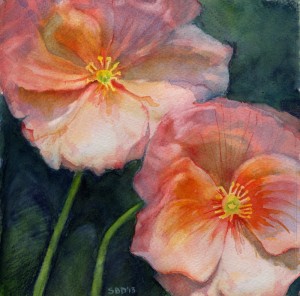 watercolor of poppies