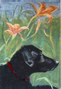 Pastel of black dog
