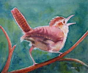watercolor of a wren