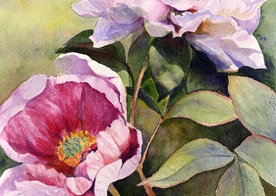 two peonies