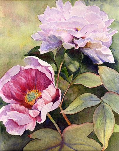 two peonies