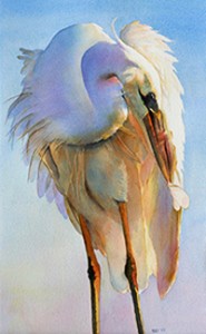 preening egret watercolor