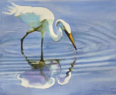 egret with reflection in the water