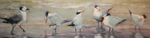 oil painting of royal terns and a seagull