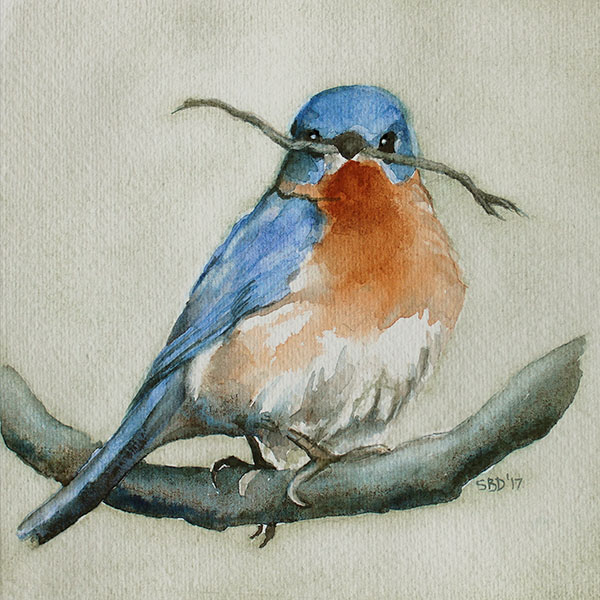 watercolor of bluebird