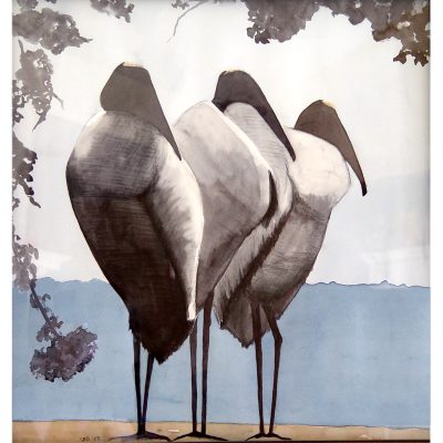 Three Gents (Wood Storks)